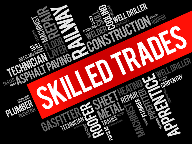 Federal Skilled Trade Program